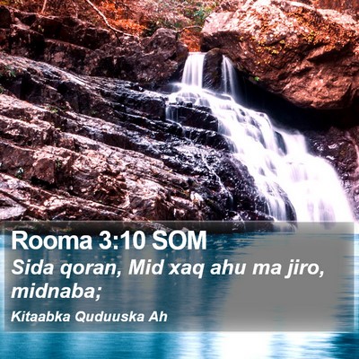 Rooma 3:10 SOM Bible Verse Image