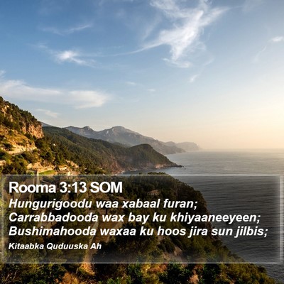 Rooma 3:13 SOM Bible Verse Image
