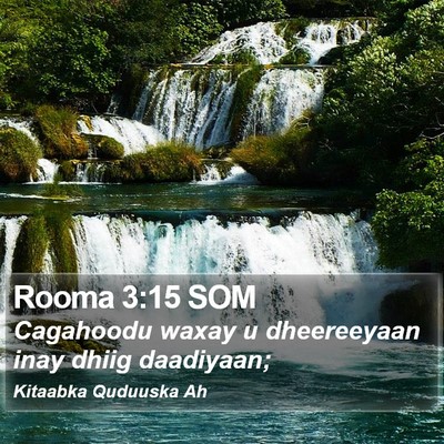 Rooma 3:15 SOM Bible Verse Image