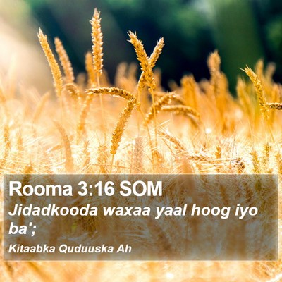 Rooma 3:16 SOM Bible Verse Image