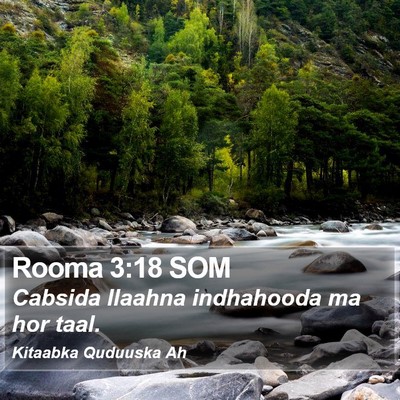 Rooma 3:18 SOM Bible Verse Image