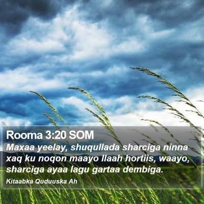 Rooma 3:20 SOM Bible Verse Image