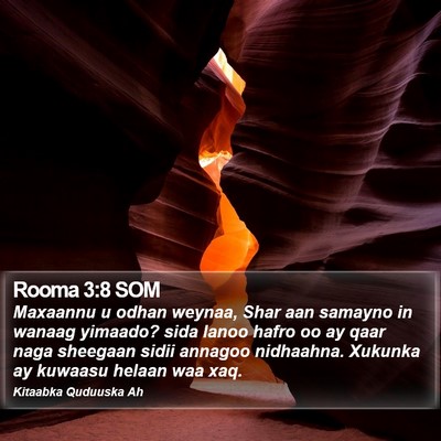 Rooma 3:8 SOM Bible Verse Image