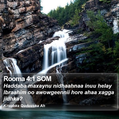 Rooma 4:1 SOM Bible Verse Image