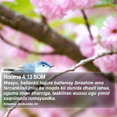 Rooma 4:13 SOM Bible Verse Image