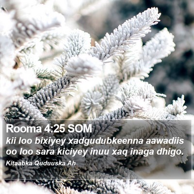 Rooma 4:25 SOM Bible Verse Image