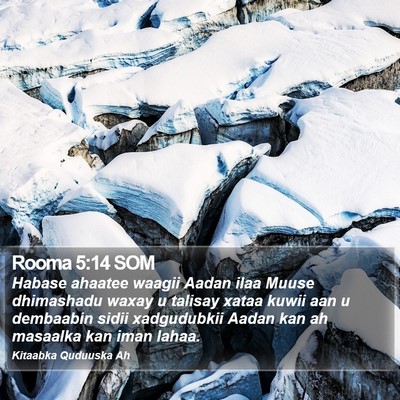 Rooma 5:14 SOM Bible Verse Image