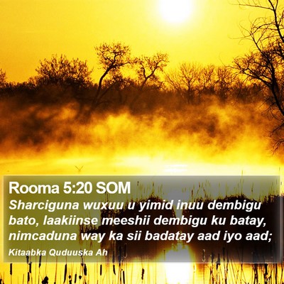 Rooma 5:20 SOM Bible Verse Image