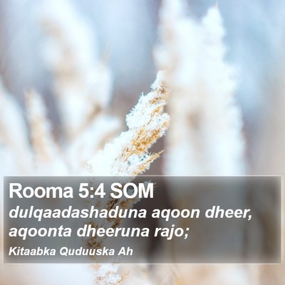 Rooma 5:4 SOM Bible Verse Image