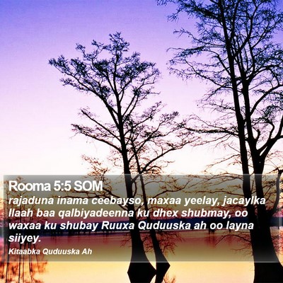 Rooma 5:5 SOM Bible Verse Image
