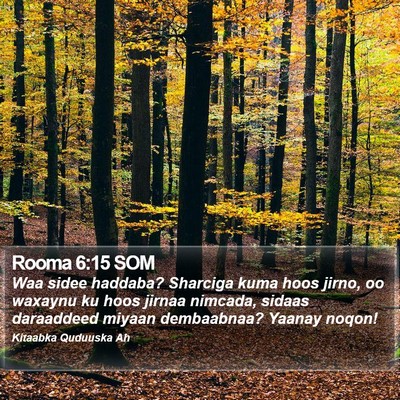 Rooma 6:15 SOM Bible Verse Image