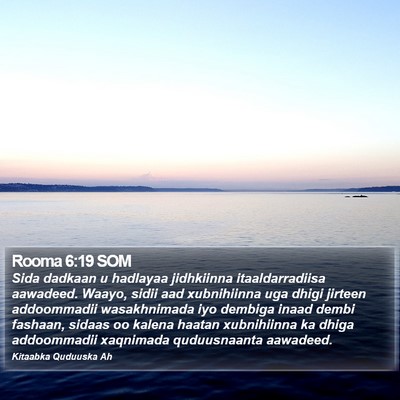 Rooma 6:19 SOM Bible Verse Image