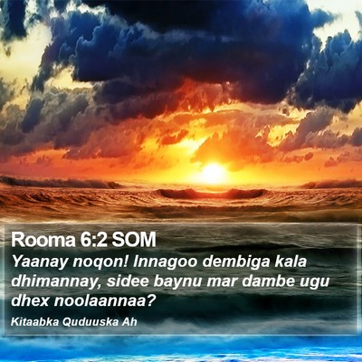 Rooma 6:2 SOM Bible Verse Image