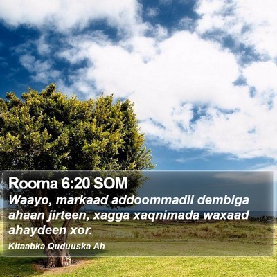 Rooma 6:20 SOM Bible Verse Image