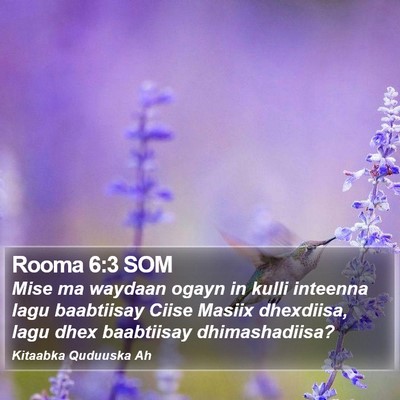 Rooma 6:3 SOM Bible Verse Image
