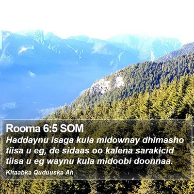 Rooma 6:5 SOM Bible Verse Image