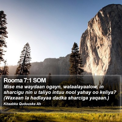 Rooma 7:1 SOM Bible Verse Image