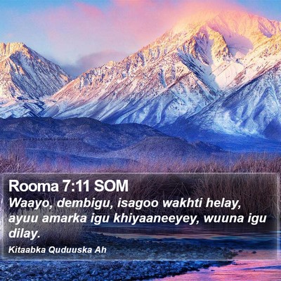 Rooma 7:11 SOM Bible Verse Image