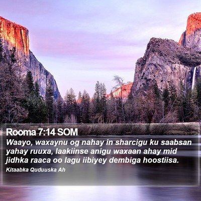 Rooma 7:14 SOM Bible Verse Image