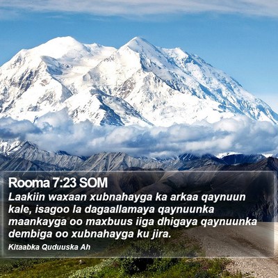 Rooma 7:23 SOM Bible Verse Image