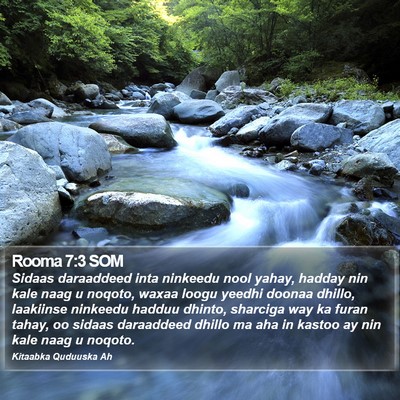 Rooma 7:3 SOM Bible Verse Image