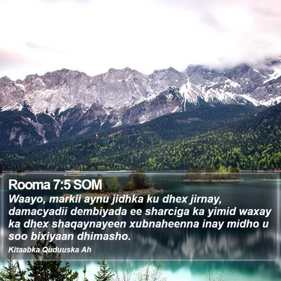 Rooma 7:5 SOM Bible Verse Image