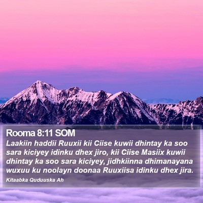 Rooma 8:11 SOM Bible Verse Image