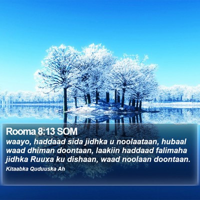 Rooma 8:13 SOM Bible Verse Image