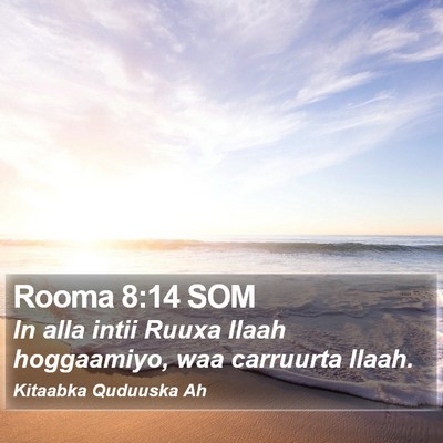 Rooma 8:14 SOM Bible Verse Image