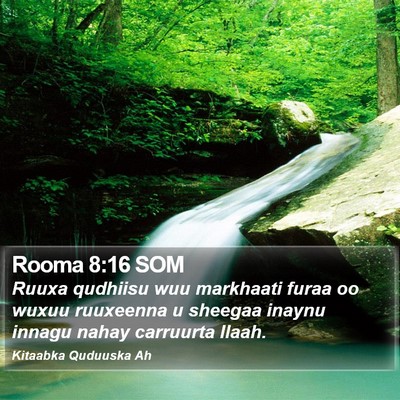 Rooma 8:16 SOM Bible Verse Image