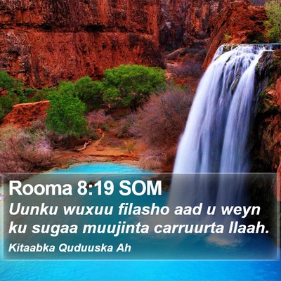 Rooma 8:19 SOM Bible Verse Image