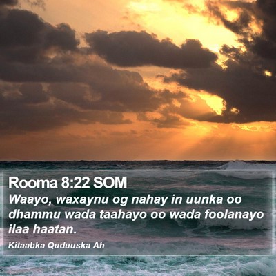 Rooma 8:22 SOM Bible Verse Image