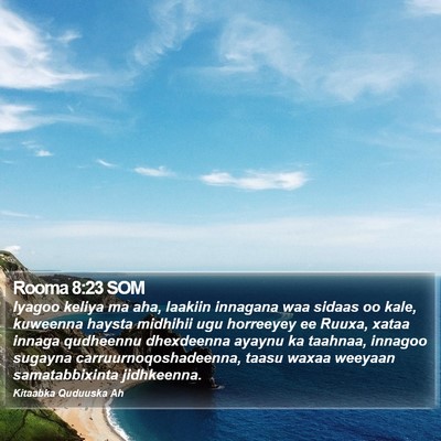 Rooma 8:23 SOM Bible Verse Image
