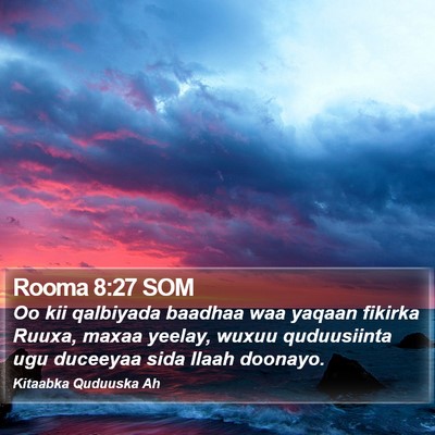 Rooma 8:27 SOM Bible Verse Image