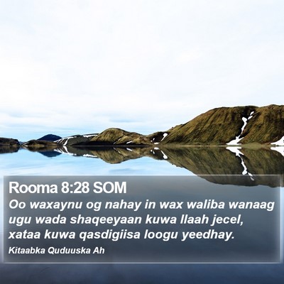 Rooma 8:28 SOM Bible Verse Image