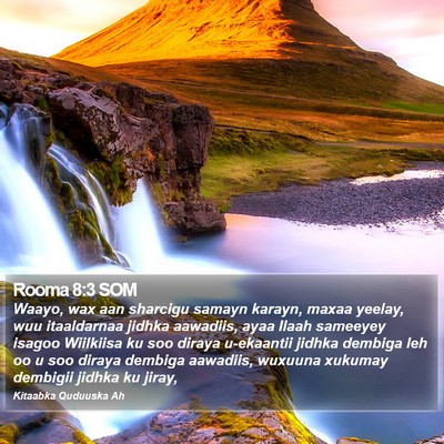 Rooma 8:3 SOM Bible Verse Image