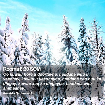 Rooma 8:30 SOM Bible Verse Image