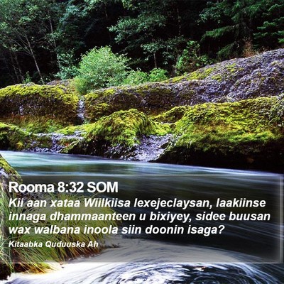 Rooma 8:32 SOM Bible Verse Image