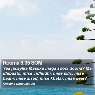 Rooma 8:35 SOM Bible Verse Image
