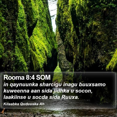 Rooma 8:4 SOM Bible Verse Image