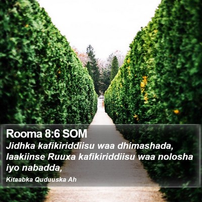Rooma 8:6 SOM Bible Verse Image