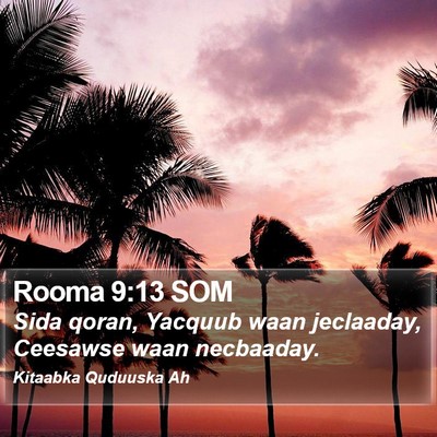 Rooma 9:13 SOM Bible Verse Image