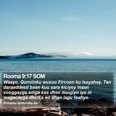 Rooma 9:17 SOM Bible Verse Image
