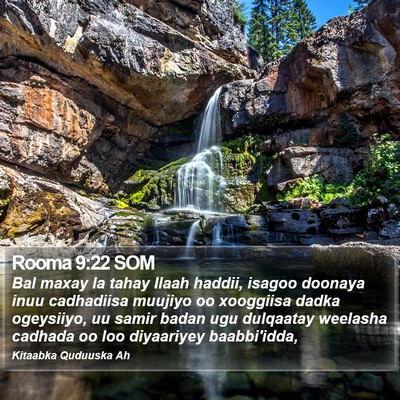 Rooma 9:22 SOM Bible Verse Image