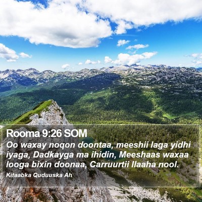 Rooma 9:26 SOM Bible Verse Image