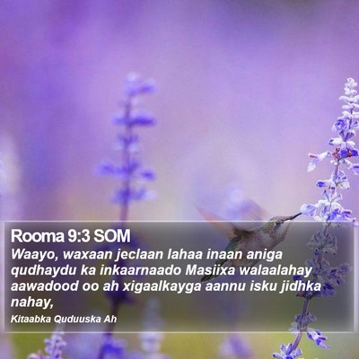 Rooma 9:3 SOM Bible Verse Image