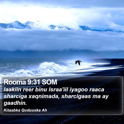 Rooma 9:31 SOM Bible Verse Image