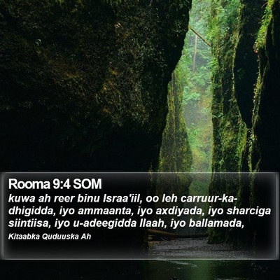 Rooma 9:4 SOM Bible Verse Image