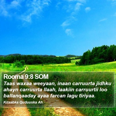 Rooma 9:8 SOM Bible Verse Image