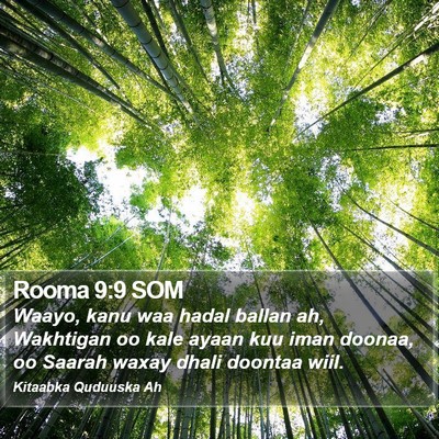 Rooma 9:9 SOM Bible Verse Image
